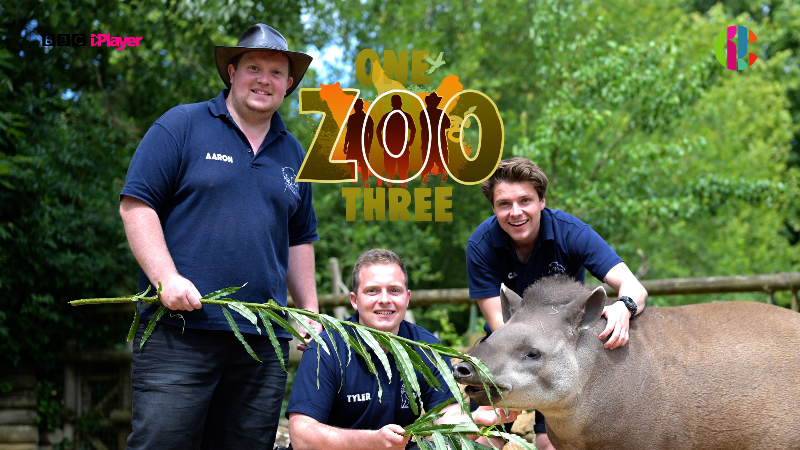 One Zoo Three  三兄弟动物园 1-5季 1080P 英文字幕 BBC出品少儿 真人纪实节目-虎学网