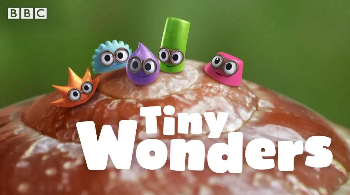 Tiny Wonders 小奇迹 1-5季 1080P英文字幕 BBC低幼龄微观自然科普启蒙动画-虎学网