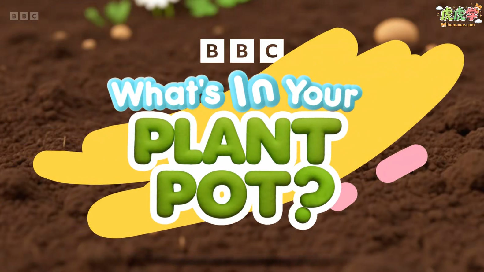 Whats in Your Plant Pot 你的花盆里有什么？10集 1080P英文字幕 BBC真人植物科普-虎学网