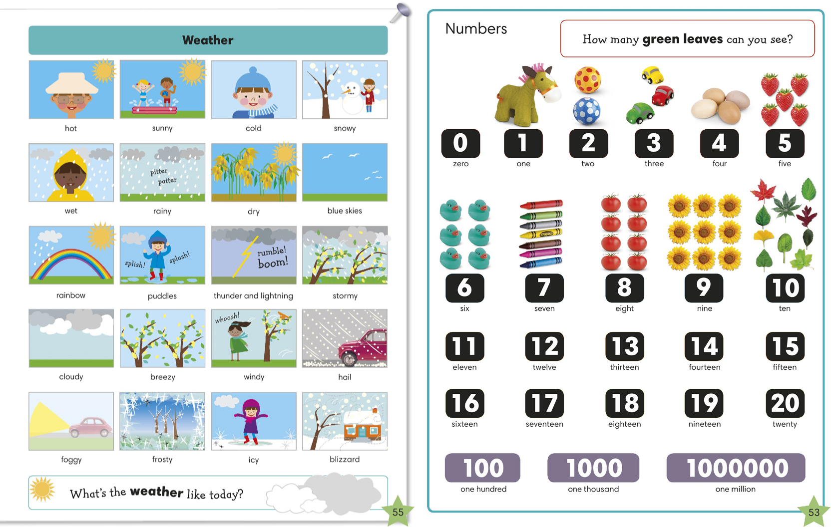 图解单词书 DK 1000 Useful Words 1000个实用英文词 PDF电子版+视频+音频-虎学网