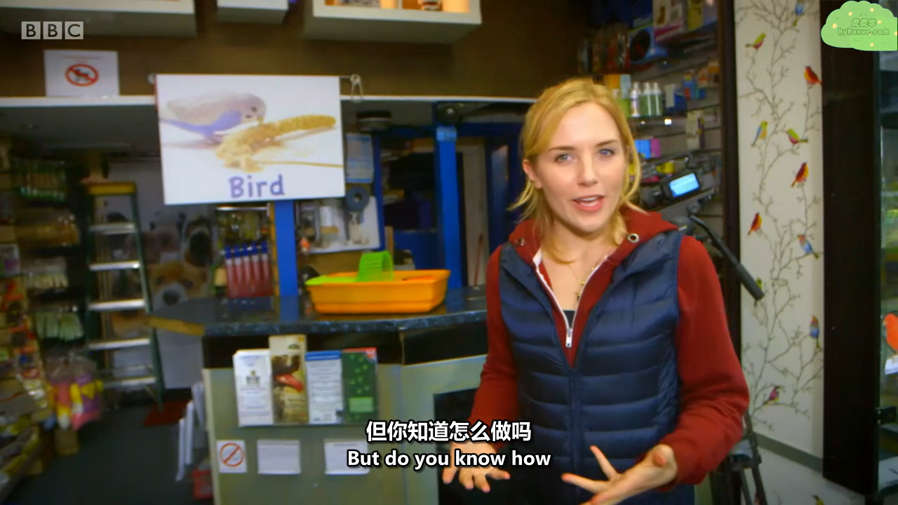 Maddie's Do You Know 你知道吗？1-5季 高清中英字幕 BBC王牌真人科普节目-虎学网