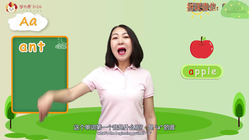 26个英文字母的奥秘 15集 零基础自然拼读启蒙 字母发音完整教学-虎学网